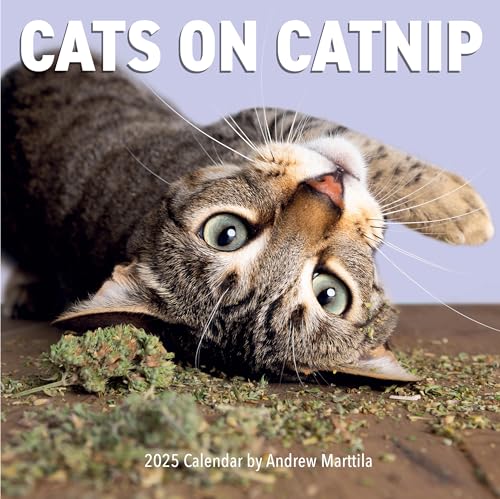 Cats on Catnip Wall Calendar 2025 Cats on Catnip Wall Calendar 2025 von Workman Publishing
