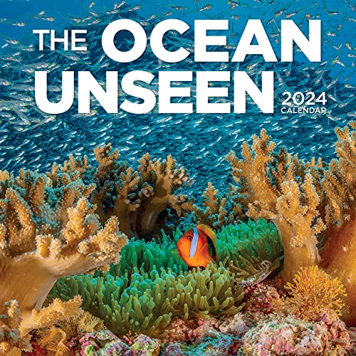 Ocean Unseen Wall Calendar 2024: A Breathtaking Visual Tour of the Ocean’s Great Biodiversity von Workman Publishing