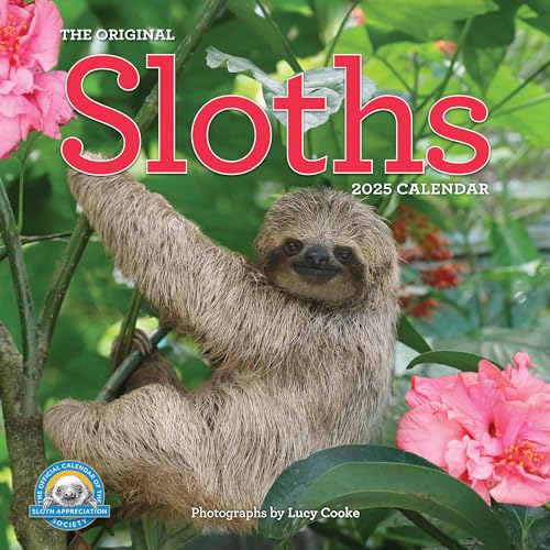 Original Sloths Wall Calendar 2025: The Ultimate Experts at Slowing Down von Workman Publishing