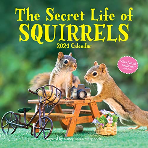 The Secret Life of Squirrels Wall Calendar 2024: A Year of Wild Squirrels von Workman Publishing