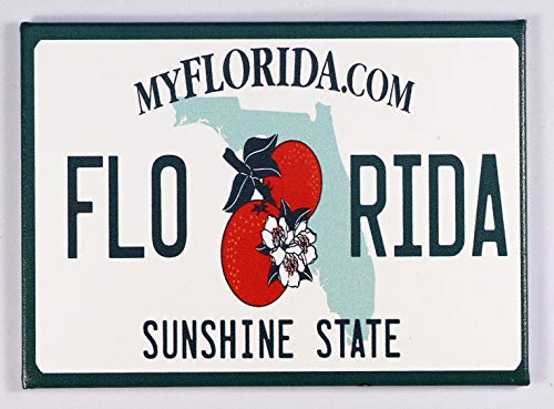 Florida Nummernschild-Kühlschrank-Souvenir-Magnet, 6,3 x 8,9 cm von World By Shotglass