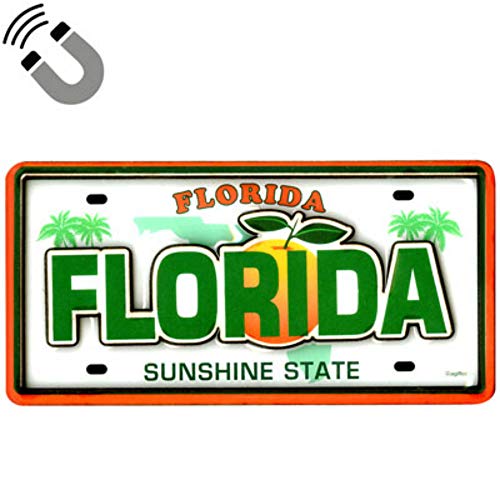 Florida Nummernschild-Magnet, doppellagig, MDF, 5,1 x 11,4 cm von World By Shotglass