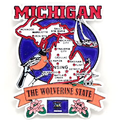 Michigan State Elements Karte Kühlschrank Collectible Souvenir Magnet von World By Shotglass