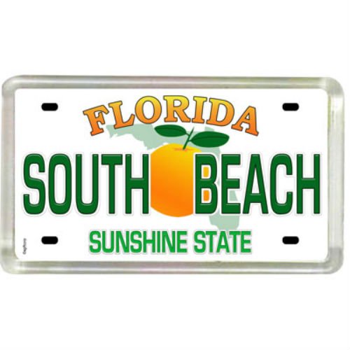 South Beach Florida Nummernschild Acryl kleinen Kühlschrank Collector 's Souvenir Magnet 5,1 x 3,2 cm von World By Shotglass