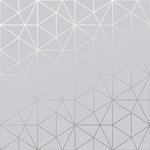 Metro Prism Geometrische Dreieck Tapete - Grau und Metallic Silber - WOW006 World of Tapete (Grau/Silber) von World of Wallpaper