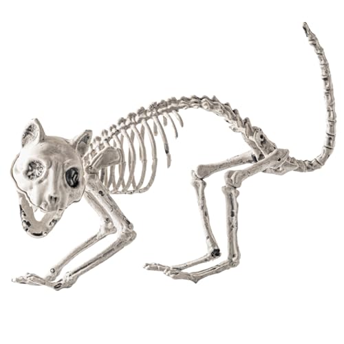 Worparsen Halloween -Skelett, gruselige Katze, Hund, Vogel, Ratte, Ziegenkopf -Tierdekoration, Plastikknochen für den Gravyard des Hofes, Veranda, Garten, Halloween -Dekoration G Worparsen Halloween -Skelett, gruselige Katze, Hund, Vogel, Ratte, Ziegenkopf -Tierdekoration, Plastikknochen für den Gravyard des Hofes, Veranda, Garten, Halloween -Dekoration G von Worparsen