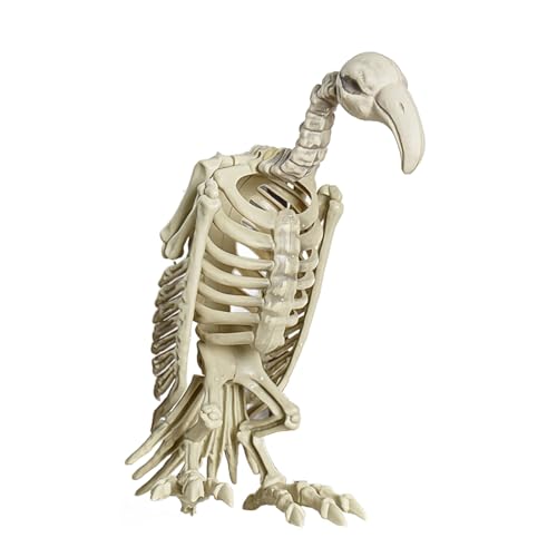 Worparsen Halloween -Skelett, gruselige Katze, Hund, Vogel, Ratte, Ziegenkopf -Tierdekoration, Plastikknochen für den Gravyard des Hofes, Veranda, Garten, Halloween -Dekoration H Worparsen Halloween -Skelett, gruselige Katze, Hund, Vogel, Ratte, Ziegenkopf -Tierdekoration, Plastikknochen für den Gravyard des Hofes, Veranda, Garten, Halloween -Dekoration H von Worparsen