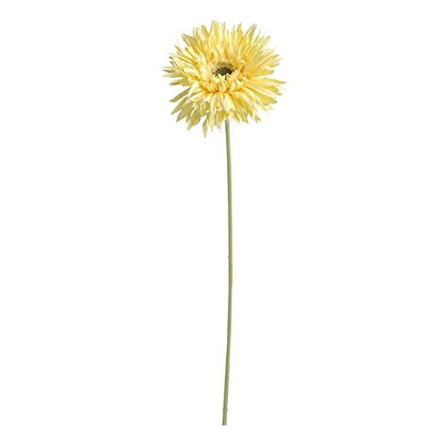Worparsen Künstliche Blume unsterbliche mehrschichtige Blütenblätter simuliert Gerbera keine Bewässerung lichtecht gelb von Worparsen