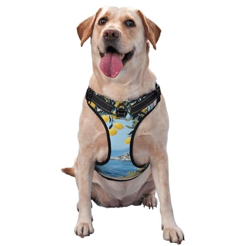 Hundegeschirr mit Fenster und Meeresinsel, Zitronenbäume, kein Ziehen, verstellbar, reflektierend, Oxford, einfache Kontrolle, Größe M und L Hundegeschirr mit Fenster und Meeresinsel, Zitronenbäume, kein Ziehen, verstellbar, reflektierend, Oxford, einfache Kontrolle, Größe M und L von Woshuwo