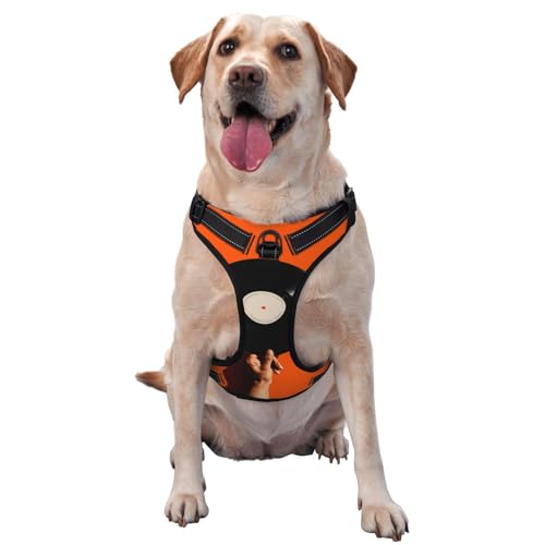 Minimalistisches Hundegeschirr, Vinyl-Schallplatte auf Orange, ästhetisch, kein Ziehen, verstellbar, reflektierend, Oxford, einfache Kontrolle, Größe M und L Minimalistisches Hundegeschirr, Vinyl-Schallplatte auf Orange, ästhetisch, kein Ziehen, verstellbar, reflektierend, Oxford, einfache Kontrolle, Größe M und L von Woshuwo