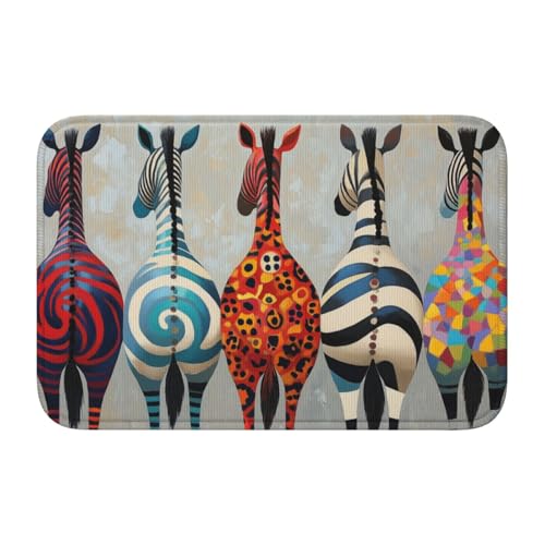 Woshuwo Fünf bunte Zebra-Fußmatten, rutschfeste Fußmatte für Außen- und Inneneingang, Bauernhaus-Teppiche, 40 x 60 cm von Woshuwo