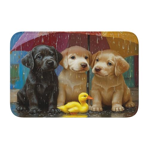 Woshuwo Fußmatte mit drei Welpen, die unter Regenschirm sitzen, rutschfeste Fußmatte für den Innen- und Außenbereich, 40 x 60 cm von Woshuwo