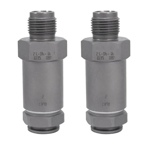 Wosieue 2 Stück 1110010035 Common Rail Common Rail Kraftstoffdruckventil Common Rail 1 110 010 035 Wie abgebildet aus Metall von Wosieue