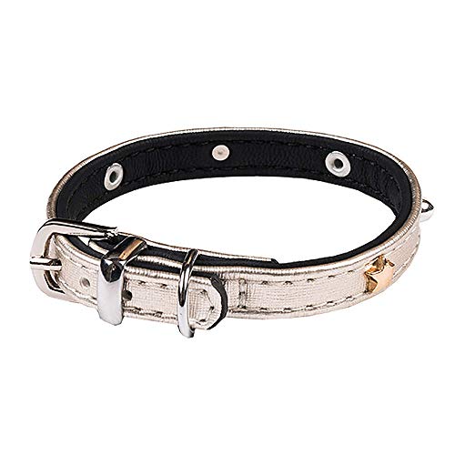 Wouapy Petmini Halsband für kleine Hunde, Kunstleder, 10 mm breit, 20 cm lang von Wouapy