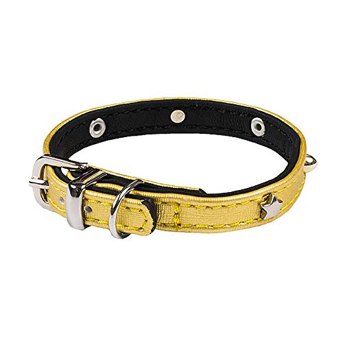 Wouapy Petmini Halsband für kleine Hunde, Kunstleder, 10 mm breit, 25 cm lang von Wouapy