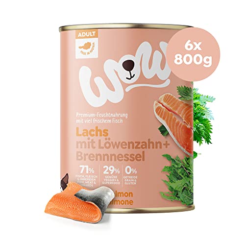 WOW Hundefutter nass Adult mit Lachs, 6X 800g I reichhaltiges Nassfutter für ausgewachsene Hunde Aller Rassen I Beste Qualität mit viel Fisch, Löwenzahn & Brennnessel I hohe Verträglichkeit von wow