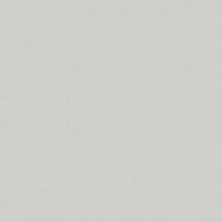 Vliestapete - Basic Glitter - Hellgrau - 1005x52 cm von Wow