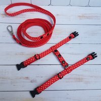 Frettchengeschirr Und Leine Set. Rotes Geschirr Für Frettchen. Kätzchengeschirr. Polka Dot Rote Frettchenleine von WowPaw