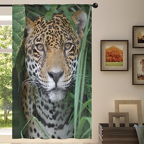 Animal Jaguar Sheer Vorhang Jaguar Leopard Sheer Fenster Voile Vorhänge für Wohnzimmer Schlafzimmer Zimmer Küche Esszimmer Dekor 139 x 198 cm von WowPrint