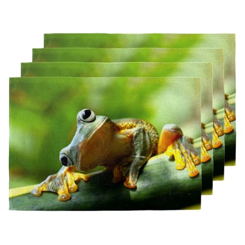 Lustige Frosch Tischsets für Küche Esstisch Grün Frosch Platzsets 4er Set Rutschfest Hitzebeständig Waschbar Leinen Tischsets von WowPrint