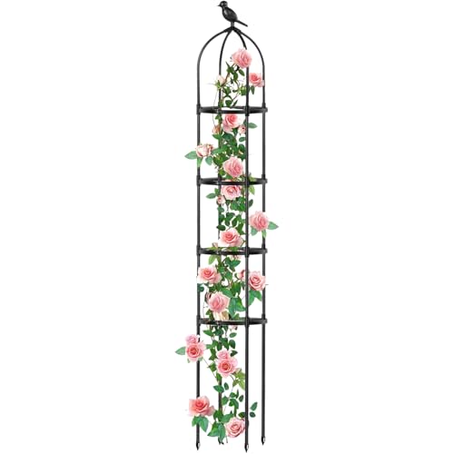 Rankgitter Für Kletterpflanzen Outdoor - 1,74m Metall Rankgitter - Rankhilfe Für Jasmin Clematis Rosen Innen- Und Außenbereich Terrasse Garten von Wpsagek