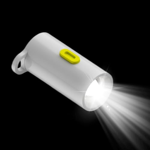 Wpsagek Mini Wiederaufladbare Taschenlampe - USB-C-Anschlüsse Kleine LED-Leuchte | USB-C Taschenlampe Plug-and-Play Für Outdoor Camping Wandern Haushalt von Wpsagek