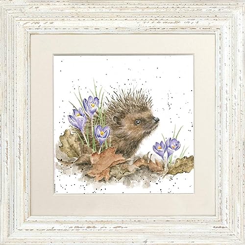 Wrendale Designs Gerahmtes Bild "New Beginnings Igel", Weiß von Wrendale Designs