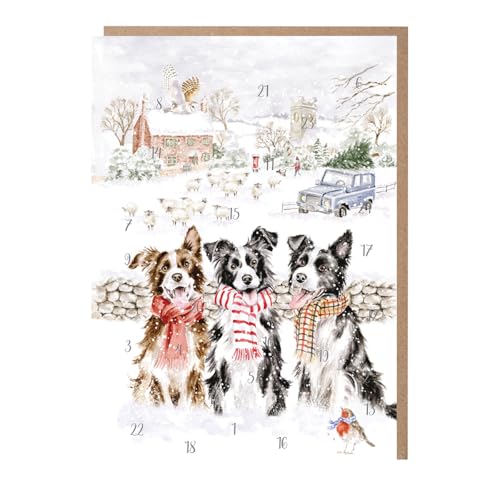Wrendale Designs - While Shepherds Watched' Border Collie Adventskalender von Wrendale Designs