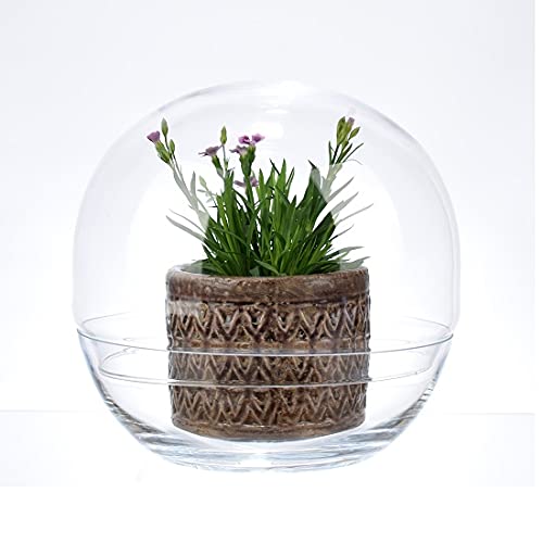 Wrzesniak Glassworks Große Glasschale mit Deckel in Globusform 26 cm von Wrzesniak Glassworks