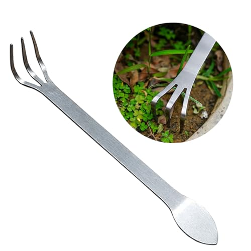 1/2pcs Edelstahl Bonsai Rakes Wurzel Rakes Mit Spatel Kleines Gartenwerkzeug Zur Bodenbelüftung Und Wurzelbewirtschaftung 1/2pcs Edelstahl Bonsai Rakes Wurzel Rakes Mit Spatel Kleines Gartenwerkzeug Zur Bodenbelüftung Und Wurzelbewirtschaftung von Wsdsgz