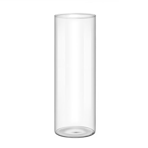 Wsdsgz Klare Glasvase Glaszylinder Vase Blumenbehälterblüte Vase Perfekt Zum Anzeigen Von Blumen In Jedem Raum von Wsdsgz