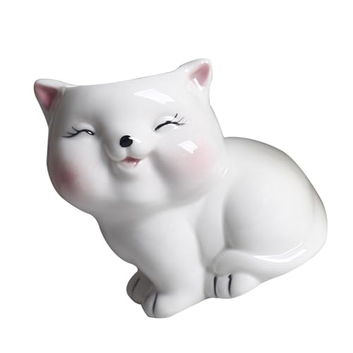 Wsdsgz Keramik Fleischy Pflanzenbehälter Kätzchen Form Cartoon Keramikpflanze Kakten Blumen Pflanzer Home Desk Gartengarten Accessorie Desktop Pflanzer von Wsdsgz