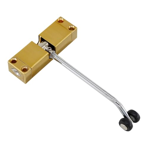 Wswqop Türschließer Automatischer Türschließer für Wohn Und Gewerbebereiche mit Federung Leiser Selbstschließender Türmechanismus Aus Zinklegierung Einfach, Gold von Wswqop