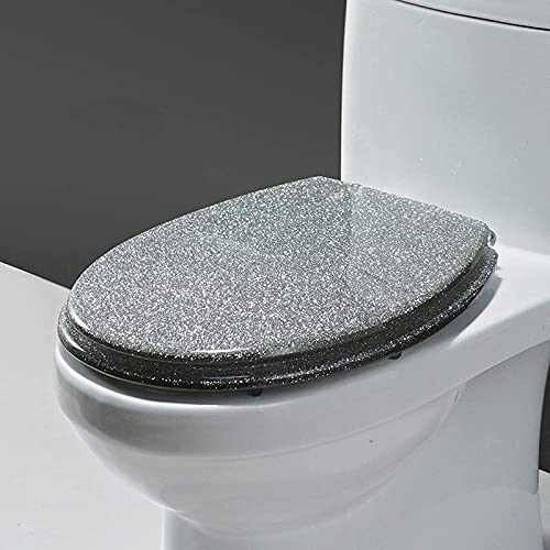 WC Sitz Oval Toilettendeckel Mit Absenkautomatik Und Abnehmbar, Antibakterielle Klobrille Aus Harz Und Rostfreiem Edelstahl, Toilettensitz Silber Und Gold, Premium Toilet Seat,Silber von Wttfc