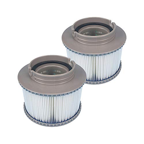 WuYan Ersatz-Filterkartusche für Poolfilter, MSpa Filterkartusche, Doppelpack, Grau, Standard von WuYan