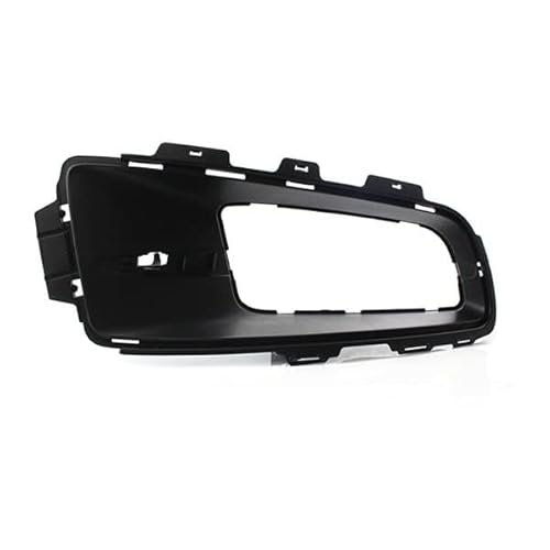 WuYyyyy Nebelscheinwerfergitter Für BMW X5 E70 2006 2007-2010-51117172450 51117172449 Front Stoßstange Nebel Licht Lampe Grills Abdeckung Nebelscheinwerferblenden.,B-Right von WuYyyyy