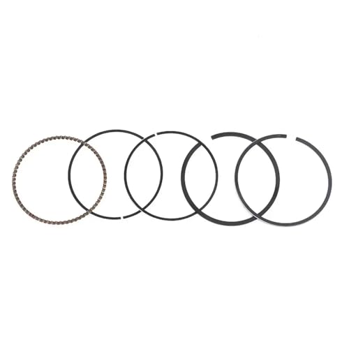 68 mm Kolbenring -Kit kompatibel mit Garten Rasenmäher Außenreparatur Ersatzteile Werkzeugset kompatibel 68 mm Kolbenring -Kit kompatibel mit Garten Rasenmäher Außenreparatur Ersatzteile Werkzeugset kompatibel von WucbRkh