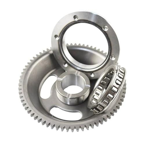 One -Way Roller -Lager kompatibel mit Motorcycle Starter passt an TTR250 XT250 Tricker TT250R Serow 250 XT -Modelle(1 Set) von WucbRkh