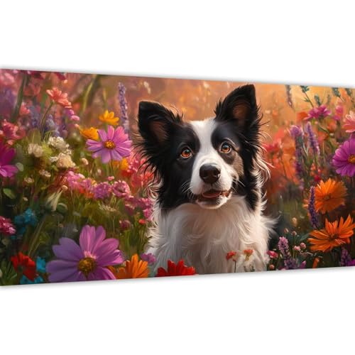 Malen nach Zahlen Erwachsene Hund, 2025 Malen nach Zahlen Anlage Paint by Numbers DIY Leinwand Set mit Pinsel und Acrylfarbe, Home Dekoration Kunst Frauen Kreativ Geschenk für Anfänger 30x60cm Y#A81 Malen nach Zahlen Erwachsene Hund, 2025 Malen nach Zahlen Anlage Paint by Numbers DIY Leinwand Set mit Pinsel und Acrylfarbe, Home Dekoration Kunst Frauen Kreativ Geschenk für Anfänger 30x60cm Y#A81 von Wucuuxen