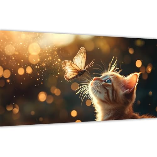 Malen nach Zahlen Erwachsene Katze,2025 Malen nach Zahlen Schmetterling Paint by Numbers DIY Leinwand Set mit Pinsel und Acrylfarbe,Home Deko Kunst Frauen Kreativ Geschenk für Anfänger 80x160cm Y#A27 Malen nach Zahlen Erwachsene Katze,2025 Malen nach Zahlen Schmetterling Paint by Numbers DIY Leinwand Set mit Pinsel und Acrylfarbe,Home Deko Kunst Frauen Kreativ Geschenk für Anfänger 80x160cm Y#A27 von Wucuuxen