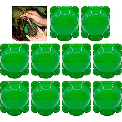 Baumwurzelwachstumskasten, Wurzelkugeltransplantationswerkzeuge, Wiederverwendbares Hochdruckbaum -wurzelluftschicht -propagations -kit -propagator -topf -wurzel -wurzel -wurzel -wurzelvorrichtung Baumwurzelwachstumskasten, Wurzelkugeltransplantationswerkzeuge, Wiederverwendbares Hochdruckbaum -wurzelluftschicht -propagations -kit -propagator -topf -wurzel -wurzel -wurzel -wurzelvorrichtung von Wudaizhi