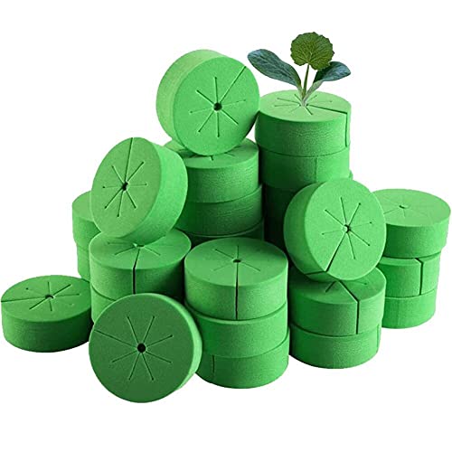 Wudaizhi 50pcs Gartenklonkragen Für Die Keimung Der Hydrokulturpflanze in Nettentöpfe Und Klonmaschinen von Wudaizhi