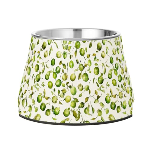 Art Wasser- und Futternapf, erhöhter Edelstahlnapf, Ständer für langsames Füttern von Katzen, Schnurrhaar, Limettengrün Art Wasser- und Futternapf, erhöhter Edelstahlnapf, Ständer für langsames Füttern von Katzen, Schnurrhaar, Limettengrün von Wudan