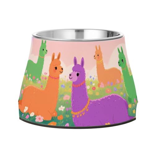 Bunter Futternapf mit Lama-Bild, erhöhter Edelstahl-Metallnapf für langsames Füttern, Katzen, langsames Fressen Bunter Futternapf mit Lama-Bild, erhöhter Edelstahl-Metallnapf für langsames Füttern, Katzen, langsames Fressen von Wudan