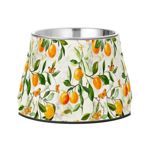 Fresh Kumquat Fruit Silver Dogs Water Bowl Enhanced Stainless Steel Pets Feeding Bowl for Small Pet Whisker Relief Fresh Kumquat Fruit Silver Dogs Water Bowl Enhanced Stainless Steel Pets Feeding Bowl for Small Pet Whisker Relief von Wudan