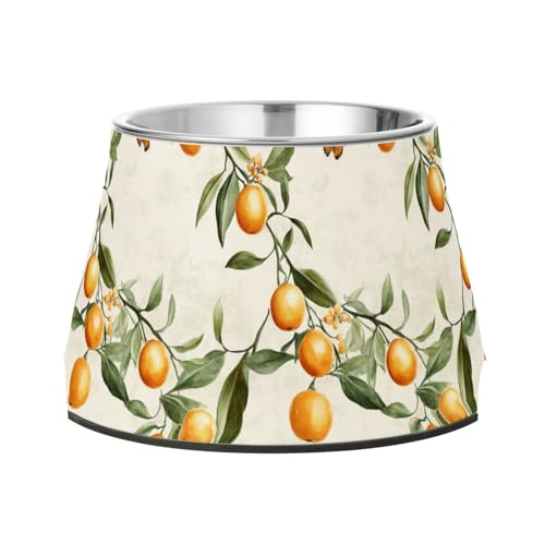 Fresh Kumquat Fruit Silver Pets Futternapf mit Ständer, Edelstahl, Haustiernapf, Ständer für kleine Hunde, Schnurrhaar, Müdigkeit Fresh Kumquat Fruit Silver Pets Futternapf mit Ständer, Edelstahl, Haustiernapf, Ständer für kleine Hunde, Schnurrhaar, Müdigkeit von Wudan