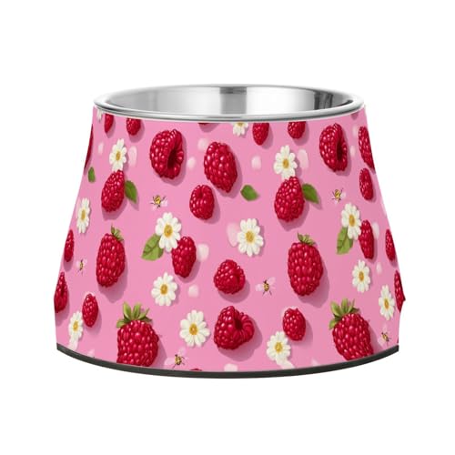 Frischer Himbeeren-Futterspender mit Ständer, Edelstahl, erhöhter Katzennapf für langsames Füttern, Katzen, Schnurrhaarfreundlich Frischer Himbeeren-Futterspender mit Ständer, Edelstahl, erhöhter Katzennapf für langsames Füttern, Katzen, Schnurrhaarfreundlich von Wudan