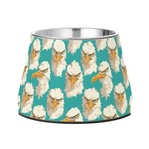 Futternapf für Hunde, Cartoon-Albatros-Gesicht, Grün, erhöhter Edelstahl-Katzen-Futternapf für liebenswertes Haustier, bequemes Füttern Futternapf für Hunde, Cartoon-Albatros-Gesicht, Grün, erhöhter Edelstahl-Katzen-Futternapf für liebenswertes Haustier, bequemes Füttern von Wudan