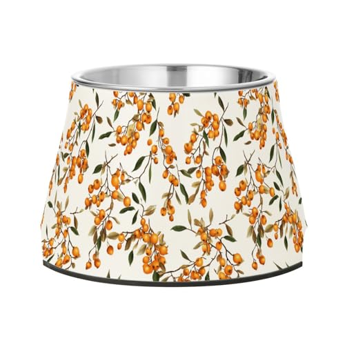 Süßer Sanddorn-Futternapf für Haustiere, Wasser- und Futternäpfe, rutschfest, Edelstahl, Katzen-Futternäpfe für geliebte Haustiere von Wudan