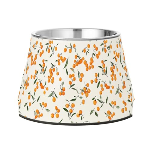 Süßer Sanddorn-Futternapf für Hunde, rutschfest, Edelstahl, für kleine Hunde, Schnurrhaartfreundlich von Wudan